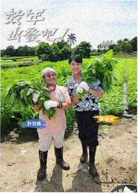 周末不加班 98影院综艺更新
